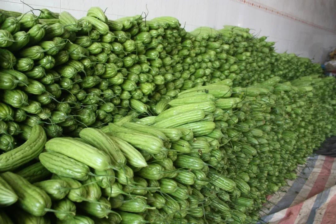 【农产品供求信息看这里！】南宁市农副产品待售，有需要的采购商赶紧打电话哟~