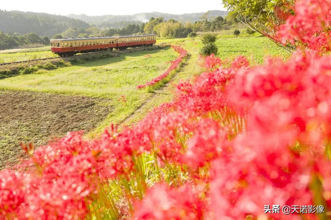 徕卡sl2是全画幅的嘛,徕卡sl2-s网友点评