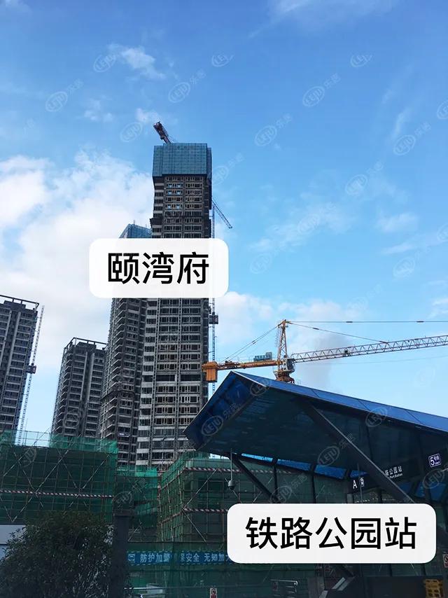 猛虎pk,猛虎和雄狮的pk