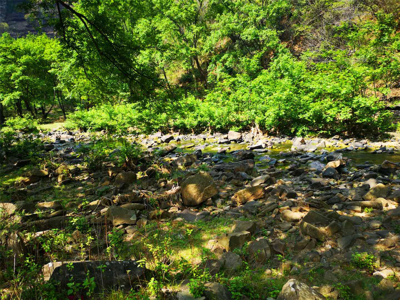 清凉谷游山攻略,清凉谷自驾游攻略一日游