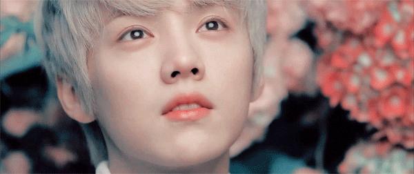 小鲜肉为什么越来越娘,老公越来越娘了怎么办