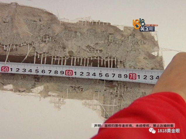 金地墙体裂缝,金地艺境裂缝效果图