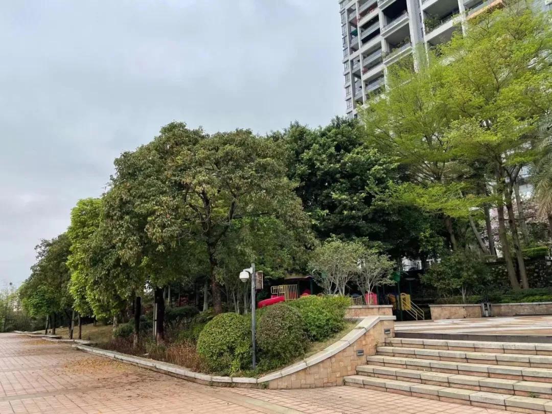 园洲东江府楼盘,惠州园洲东江府房价最新