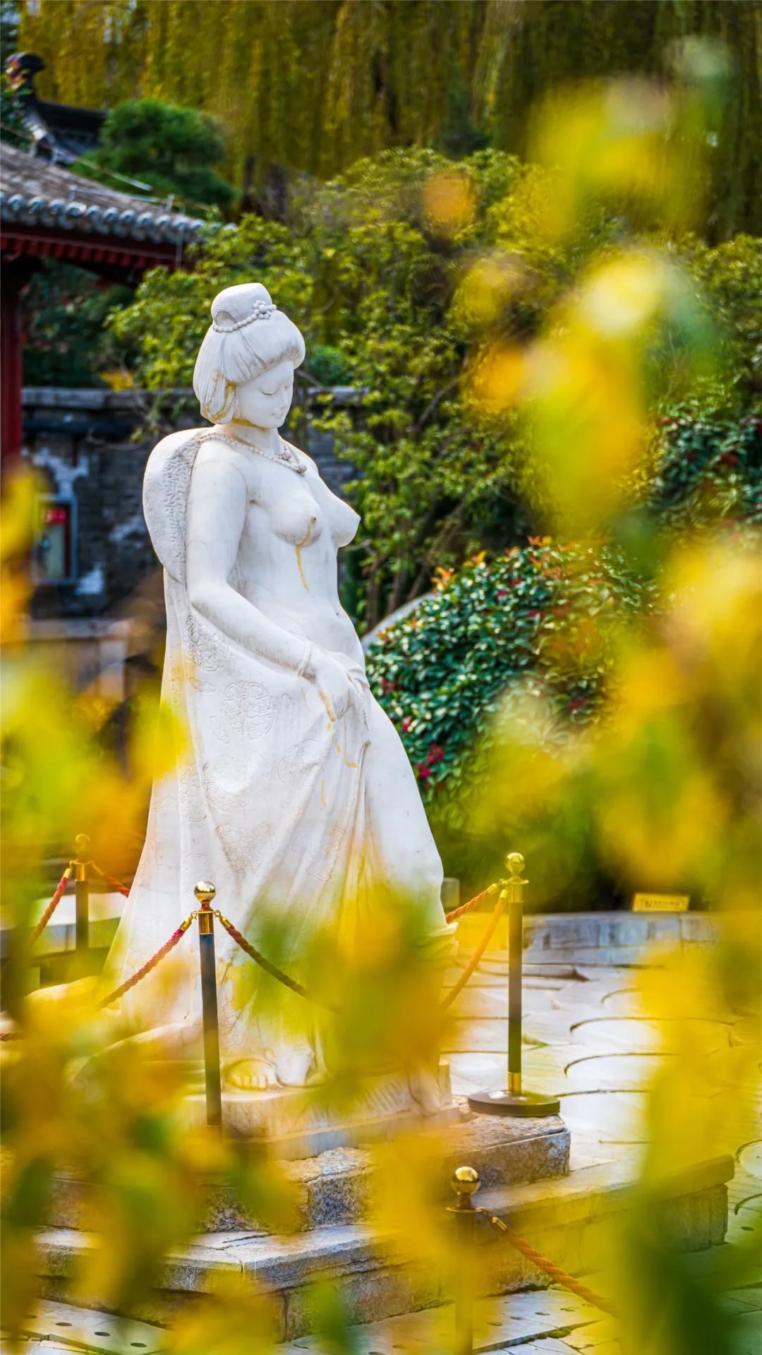 华清宫的初冬美景，惊艳了谁的时光？