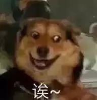 五粮液嫡系低端酒产品介绍,五粮液内控和普五的差别