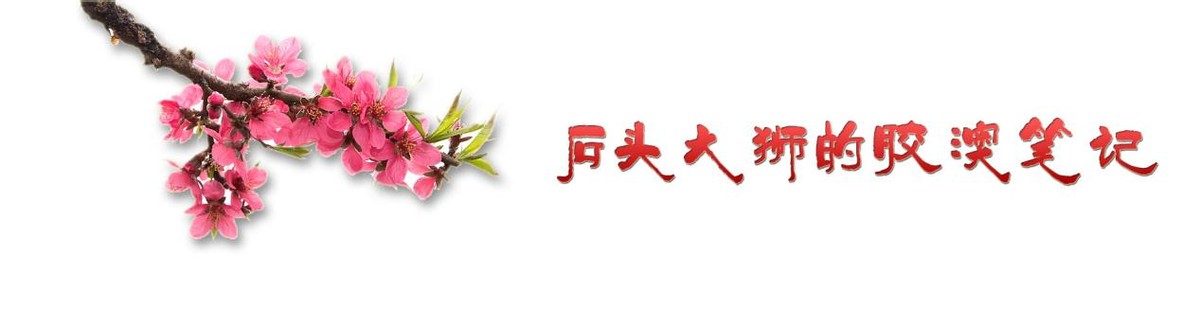 周伯通出桃花岛是天下第一了吗,周伯通带真经为何去了桃花岛