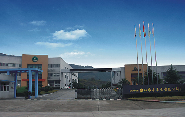 业绩方面存在问题和整改措施,维康药业业绩