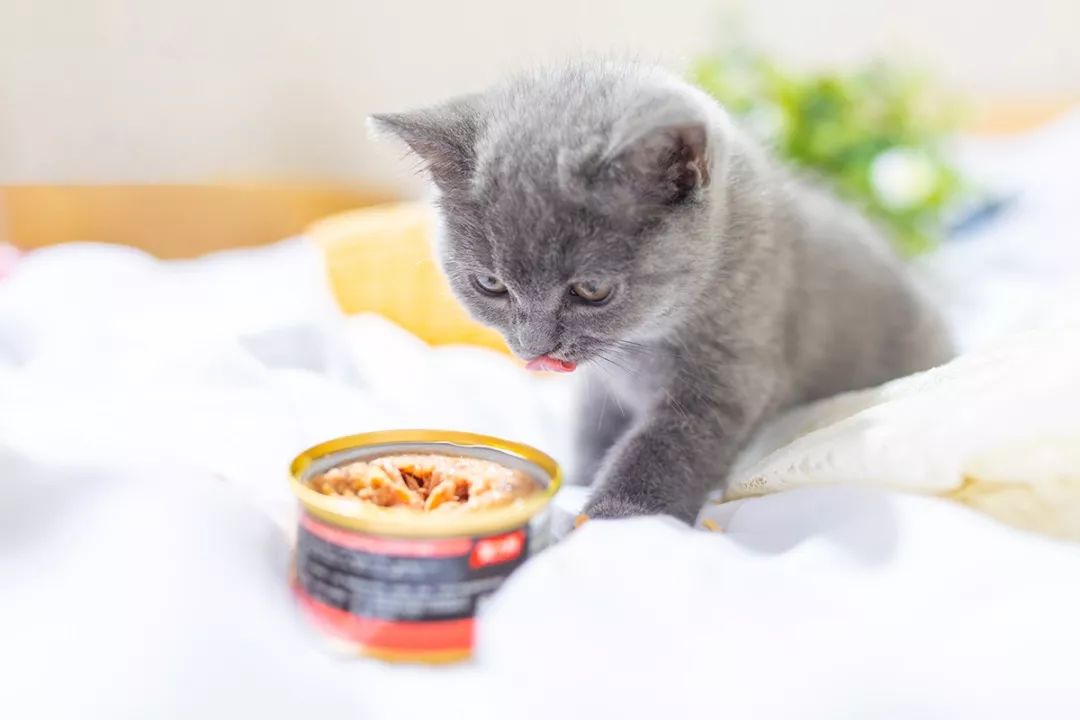 深圳富人日常生活真实记录,在深圳普通人最真实的生活状态