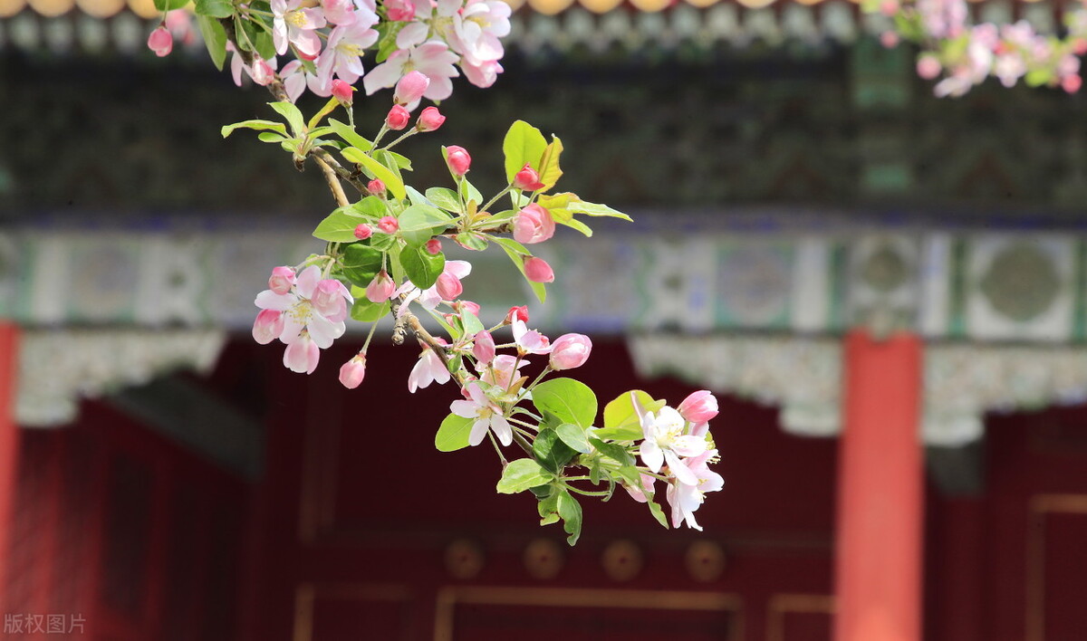 乾隆真的很爱富察皇后吗,乾隆有多爱富察皇后