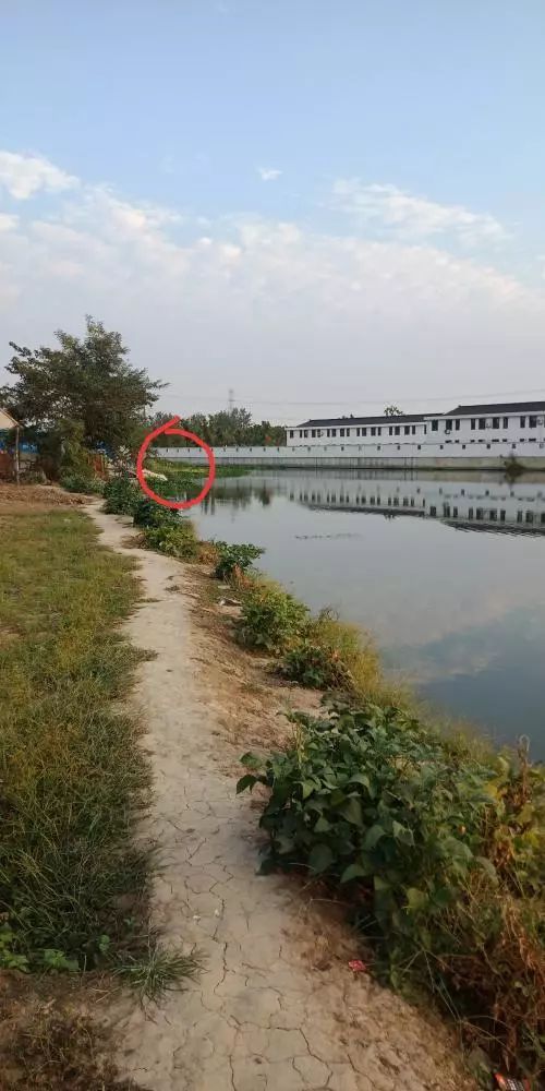 本汀财神鲫竿,本汀财神鲫完整版