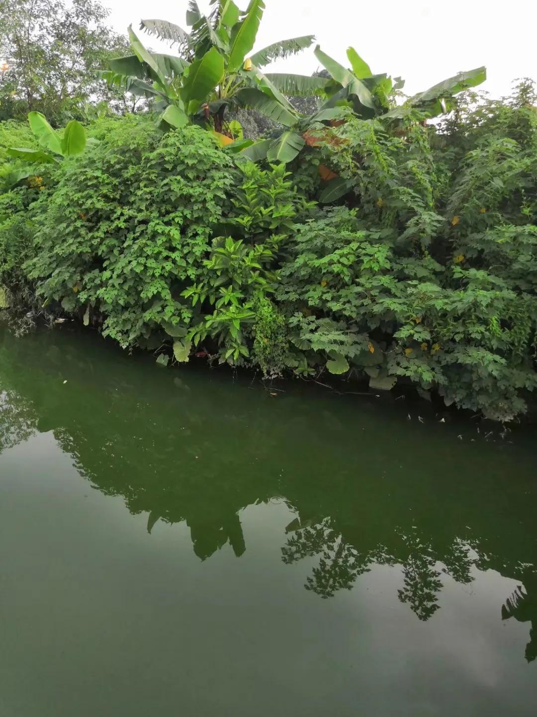 家乡诡异传说,家乡神话故事