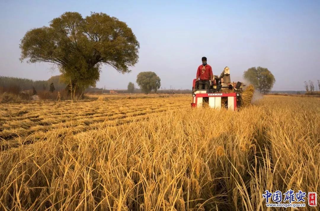 雄安风景好的地方,雄安新区必去十大景点