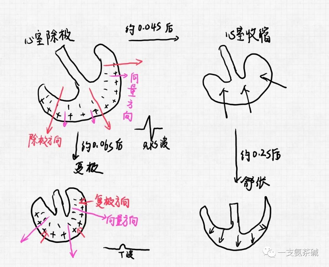 心电图90-100,心电图九九八十一难口诀
