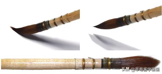 各种材质、形状的水彩画笔到底该怎么用?丨自学画画教程NO.5