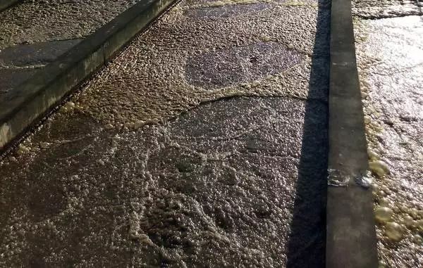 科普课堂｜每周多掌握一个关于污泥的小技能