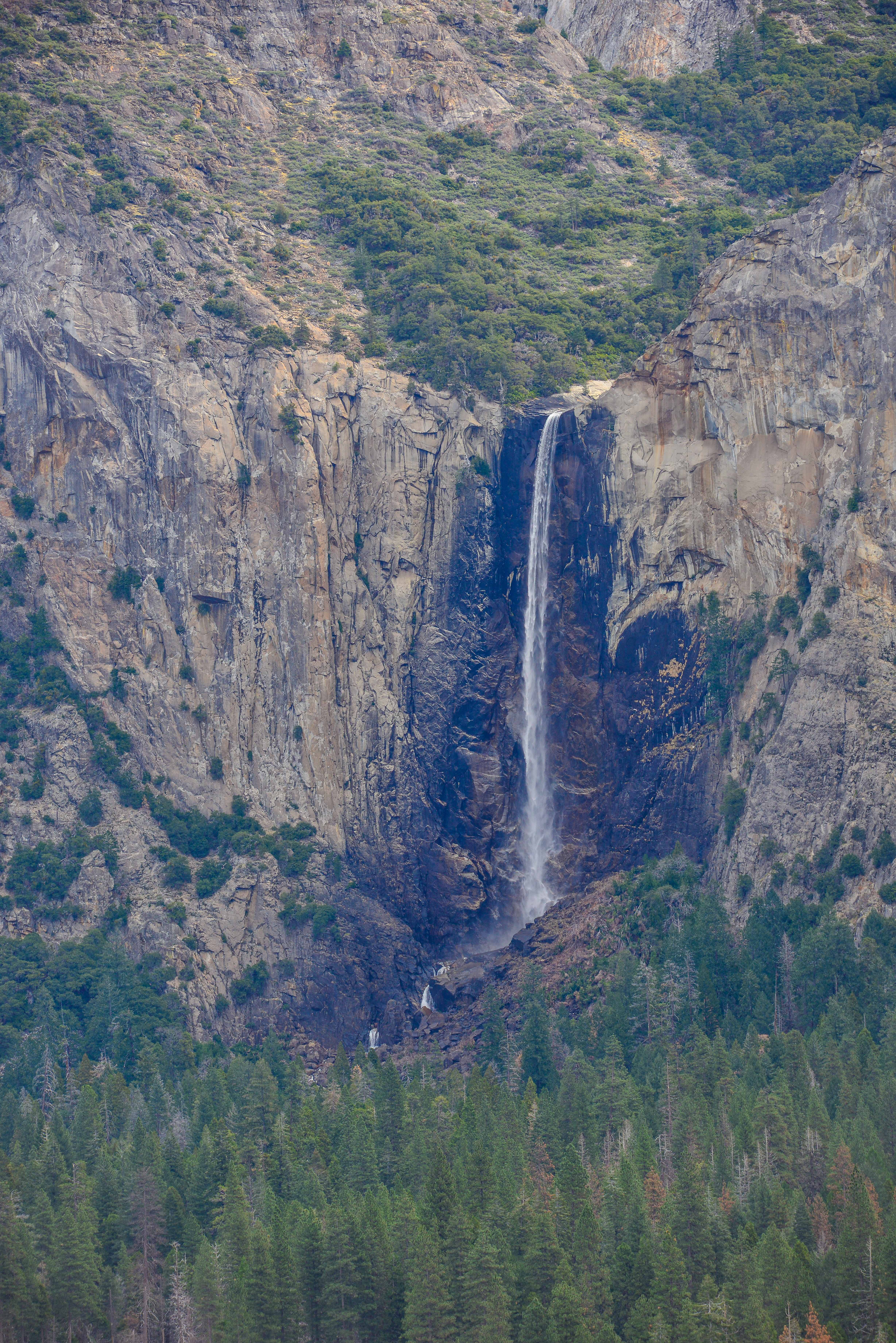 优胜美地国家公园,优胜美地国家公园1935