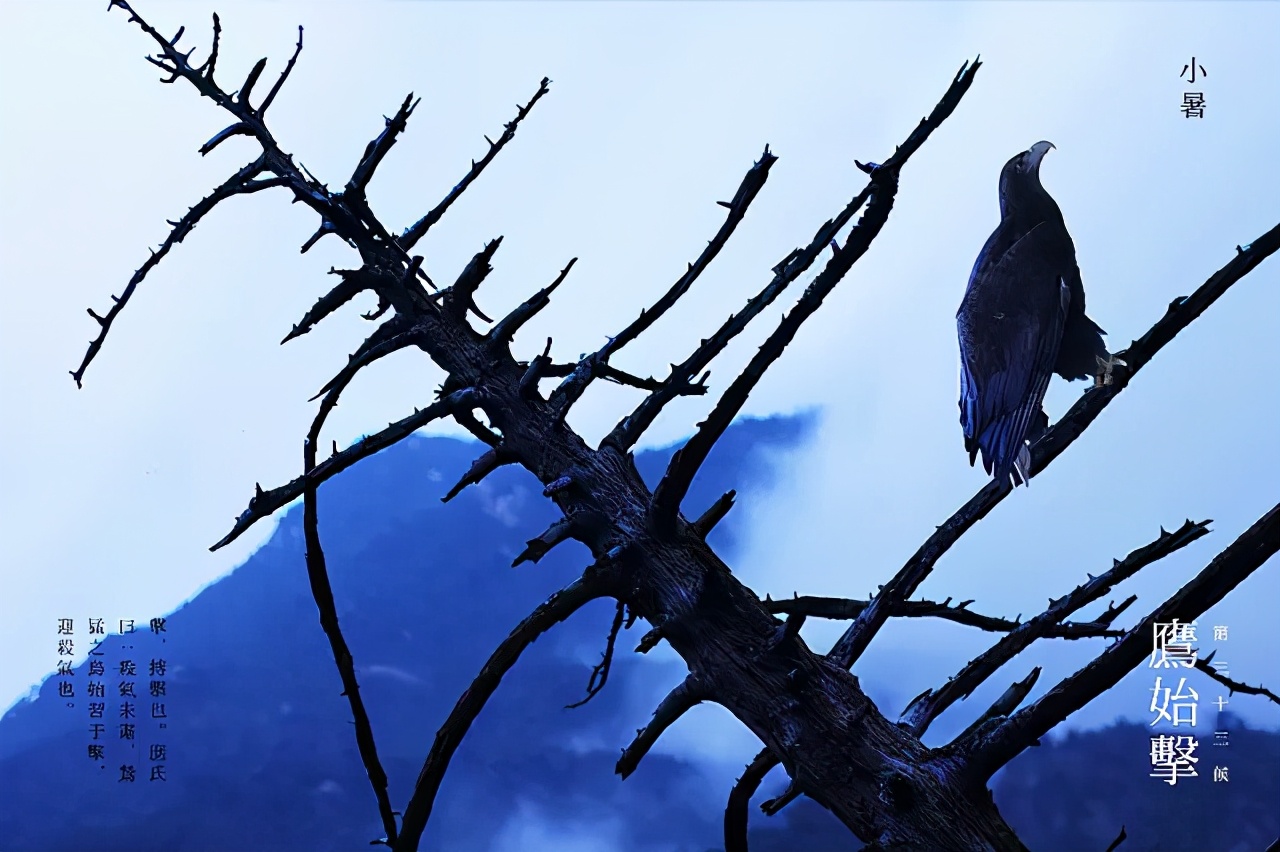 大暑的五种美,小暑的七种食物