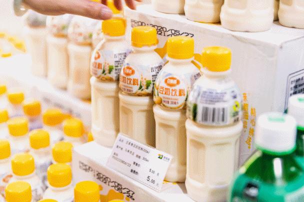 漳州海鸟城,漳州建元路海鸟城