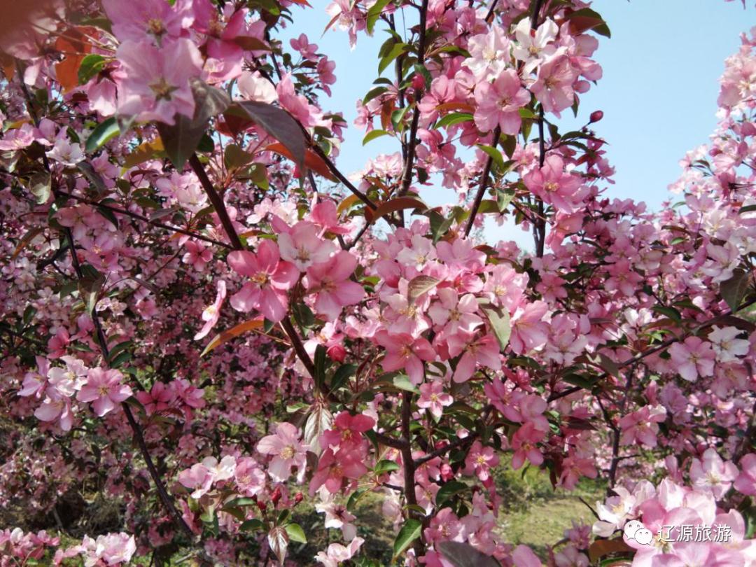 周游辽源怎么样,辽源周游攻略