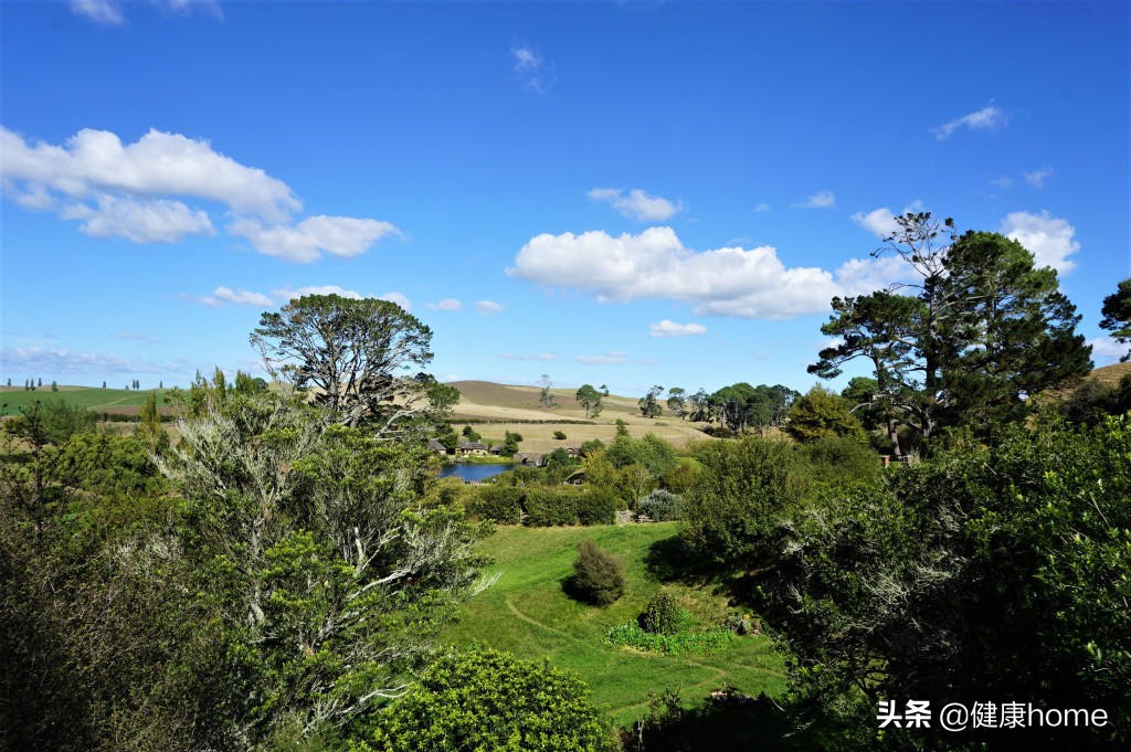 新西兰霍比特人村攻略,新西兰霍比特蓝泉一日游