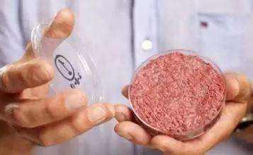 东宝生物人造肉前景,东宝生物是人造肉公司吗