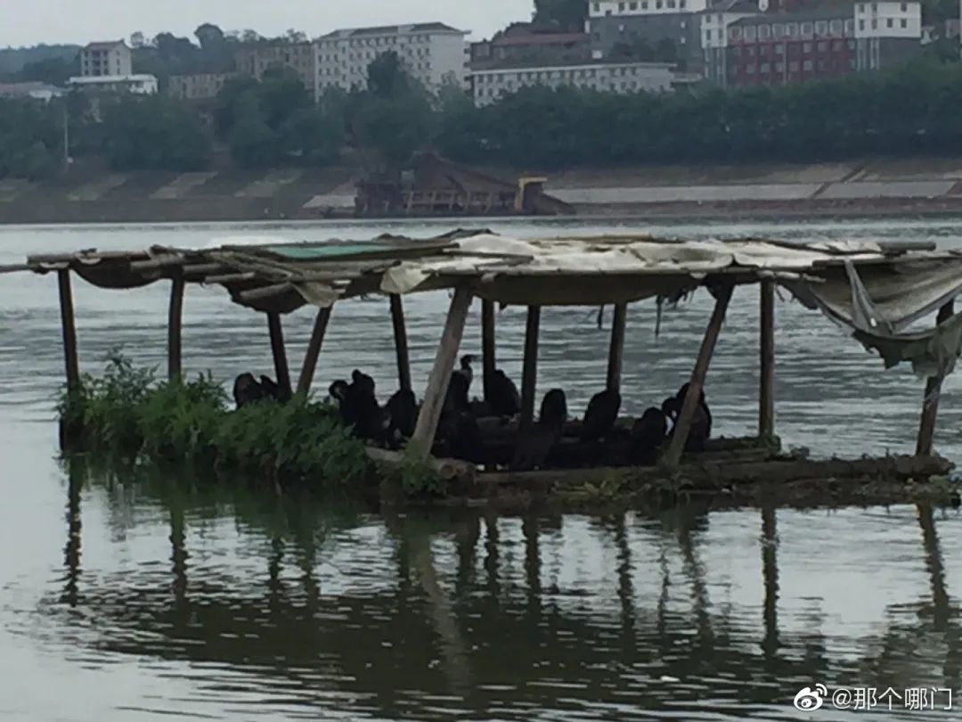 沅江边的啷轻啷轻啷啷轻