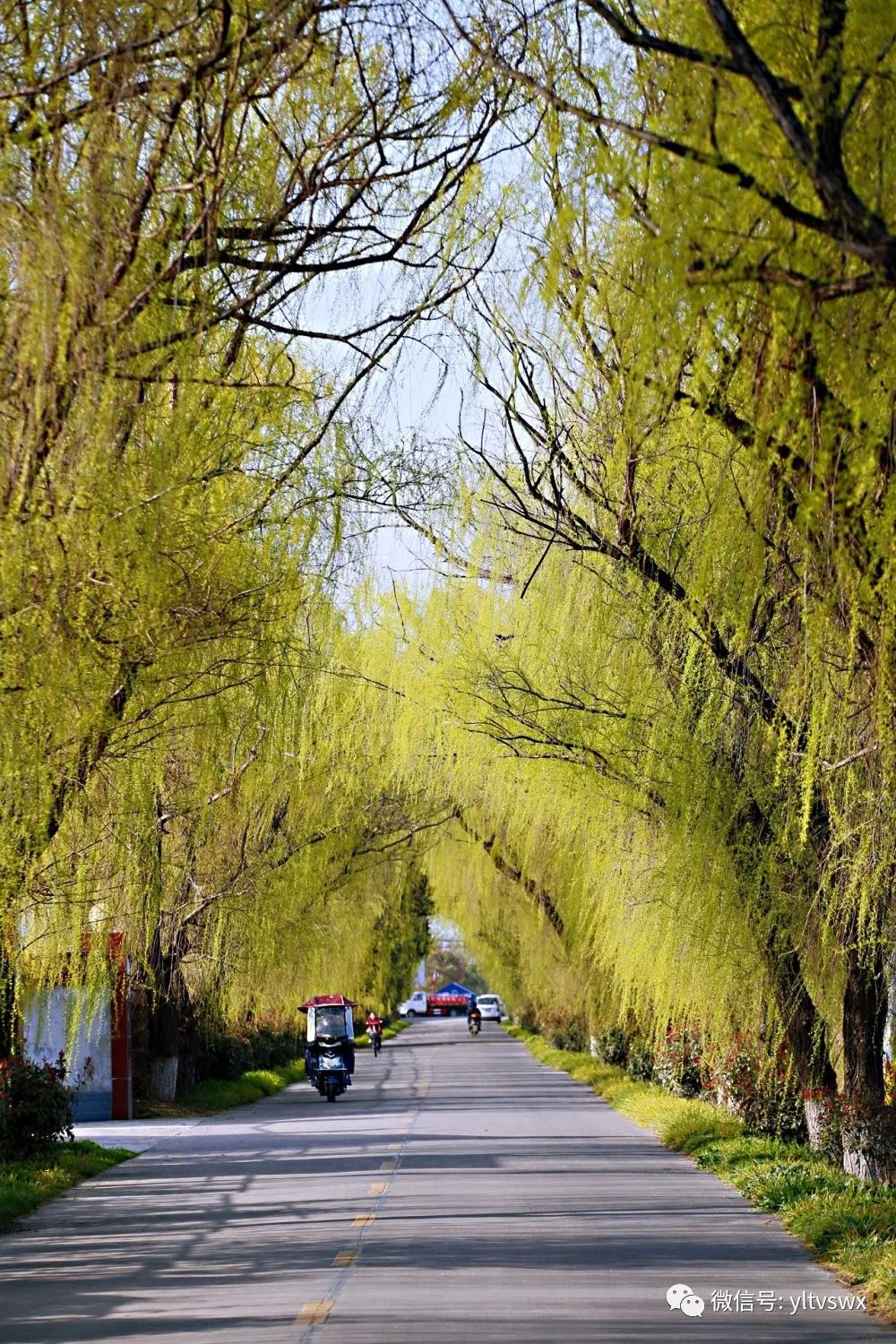 杨凌现状,杨凌最新照片