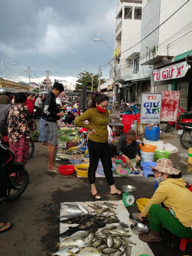 站在楼顶看芽庄全景,站在国门看越南