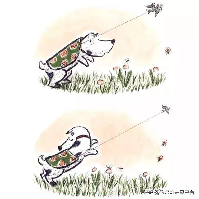 老师好睡前故事|《哈利的花毛衣》
