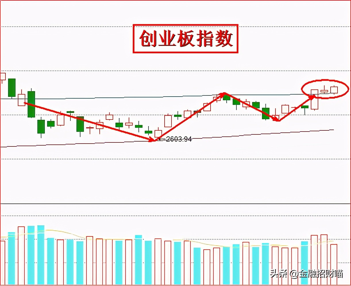 A股不惧美股灰犀牛！白酒、医美之外，超强赛道新能源有望接棒