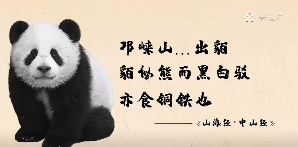 大熊猫有多强大,大熊猫也有这本事吗