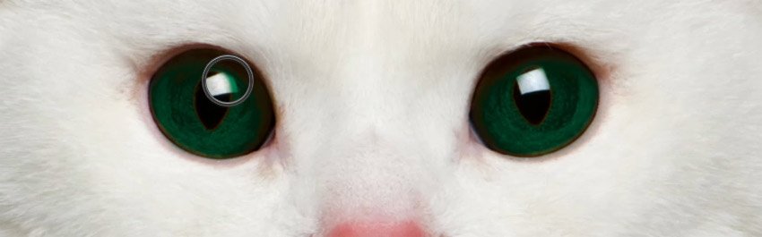 怎么在ps中更改照片底色,ps怎么改人的眼睛颜色