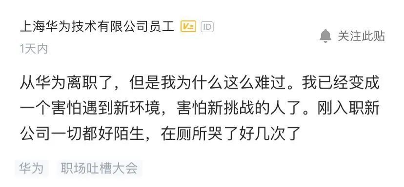 从华为离职到微软,华为离职最后一天