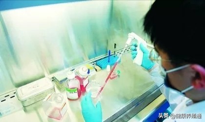 外购仔猪如何防病,养殖户自购疫苗注意事项