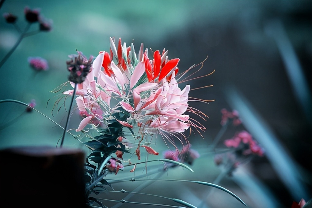 7个心理学技巧让你赢得他人尊重,心理学怎么让对方坦然面对