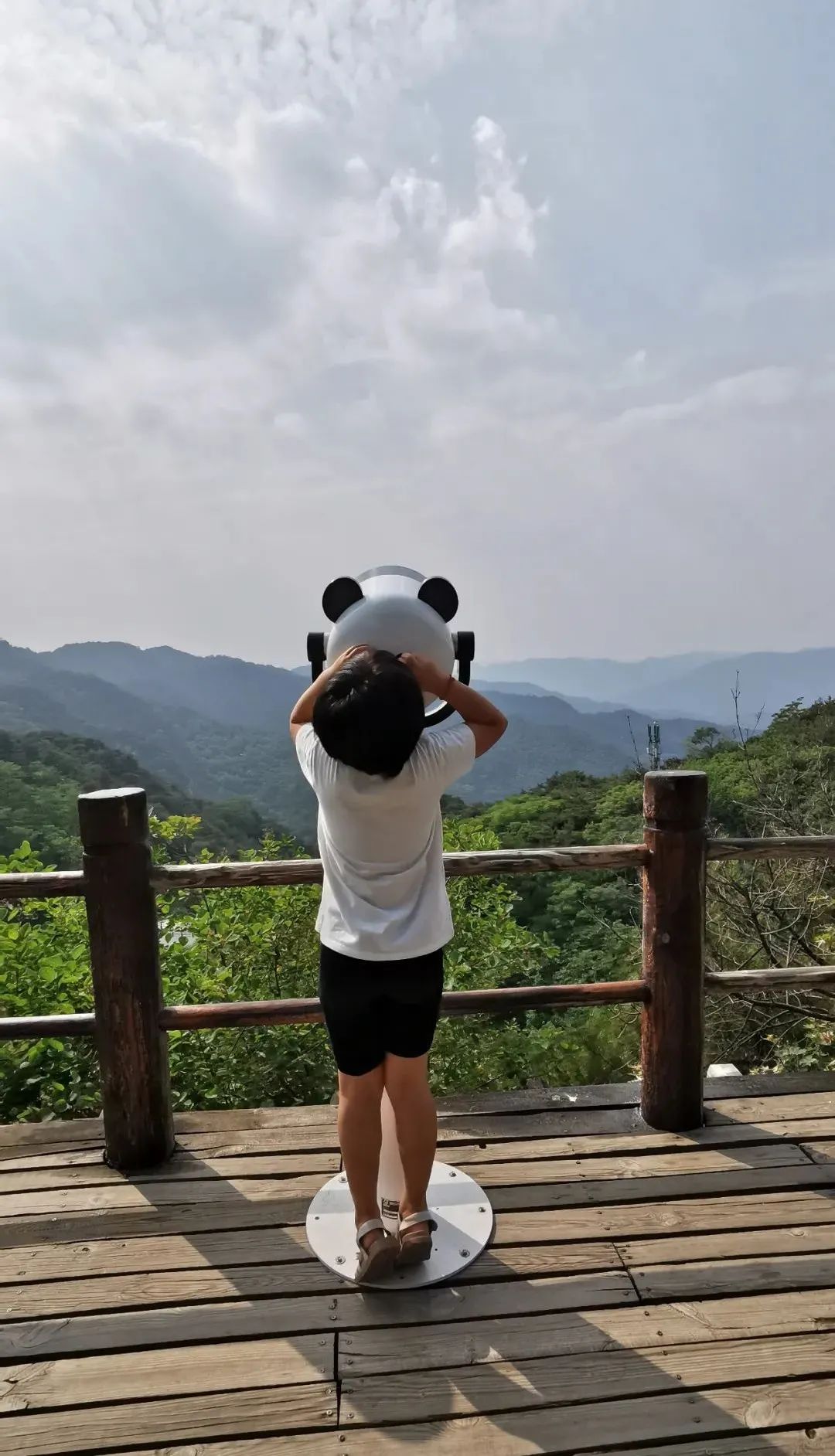 九如山什么季节去最好,九如山赏枫一日游