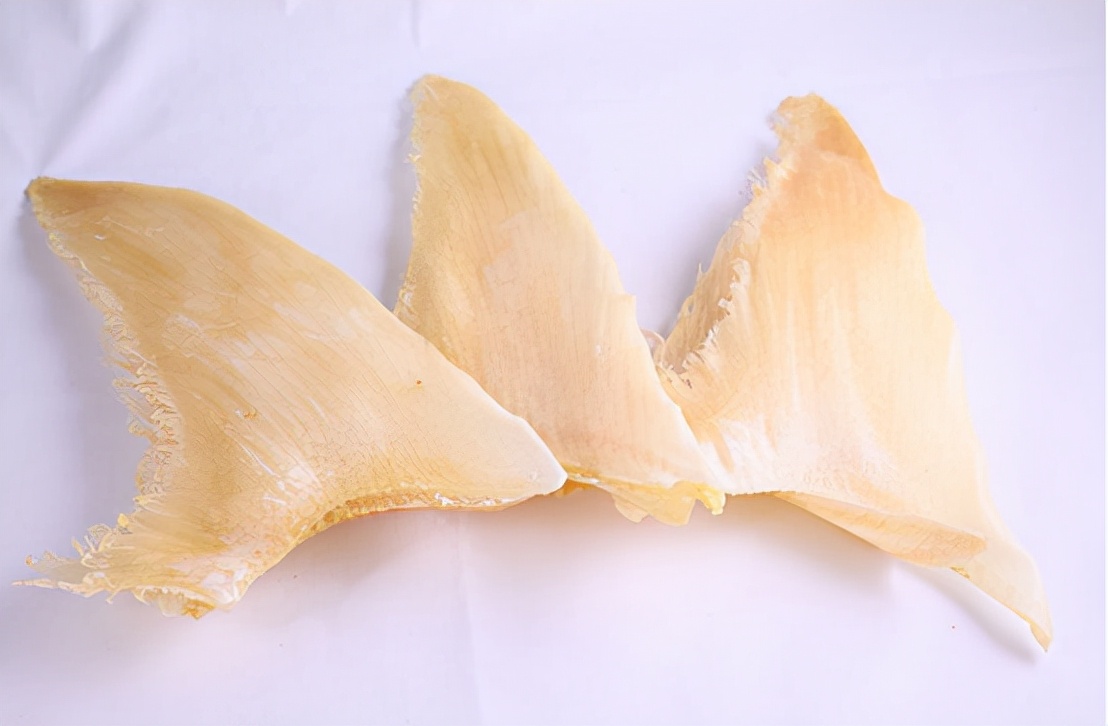 哥伦比亚成功抓获头号毒枭,哥伦比亚近期抓捕新闻