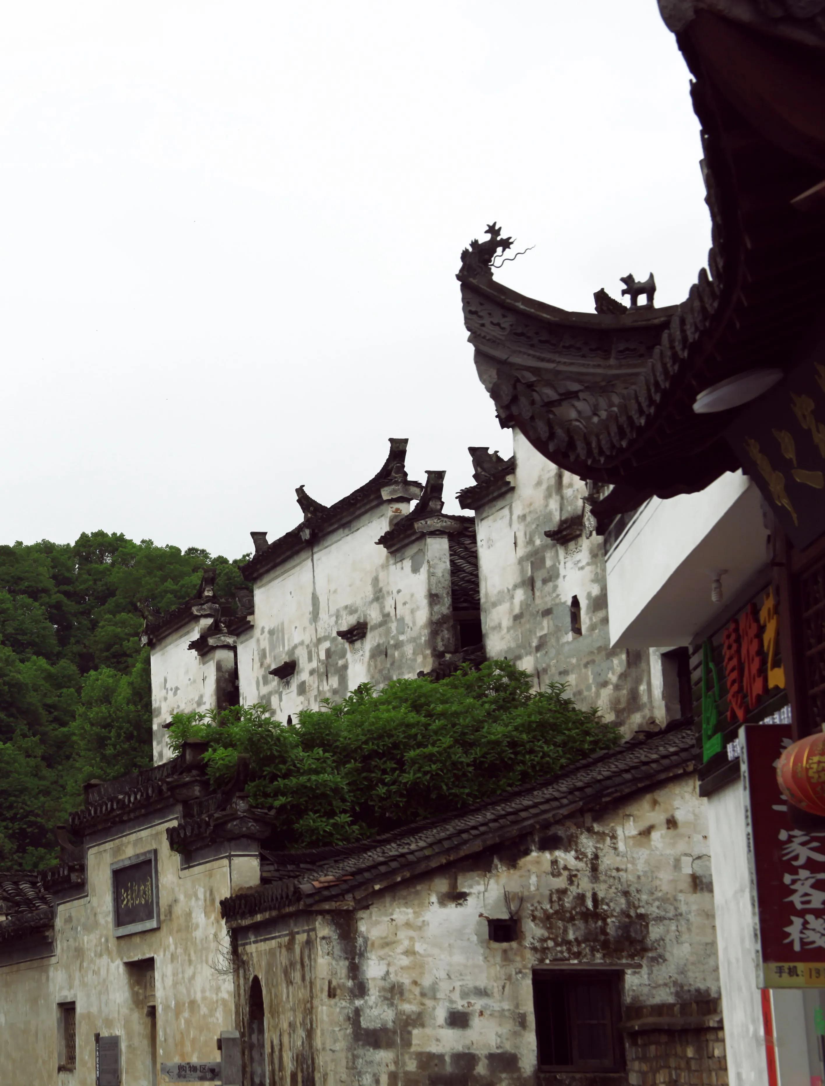 时代新视点‖进坑的山水，婺源的桥