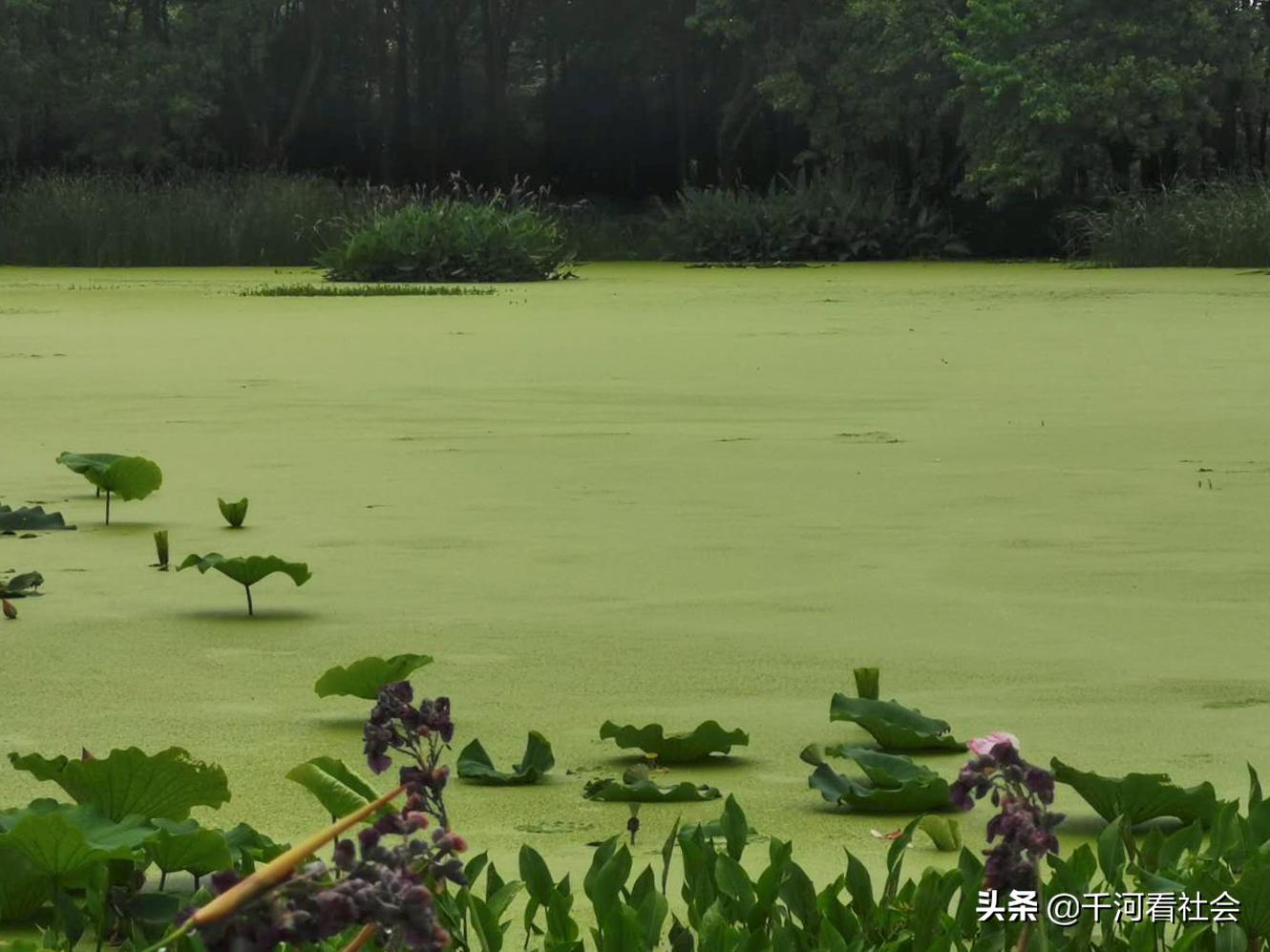 杭州雨水为什么这么多,杭州潮湿季节