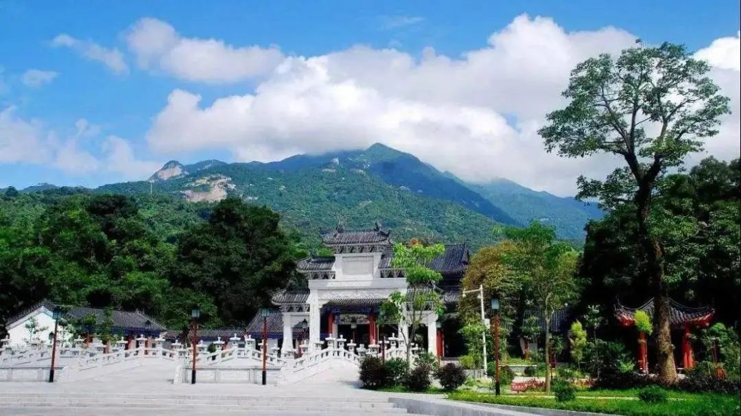 深藏在森林之中的温泉酒店,隐藏在森林里的豪华酒店