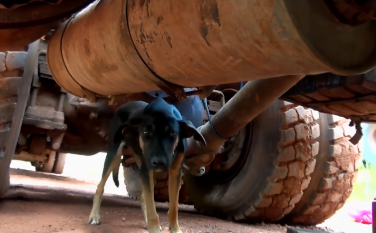 非洲牧师给穷人疯狂*脑洗**，几分钟就赚两万块，穷人激动得浑身抽搐