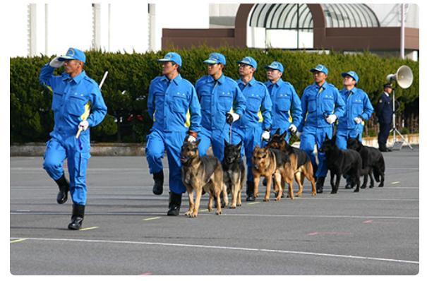 日本是最安全的吗,日本国家安保