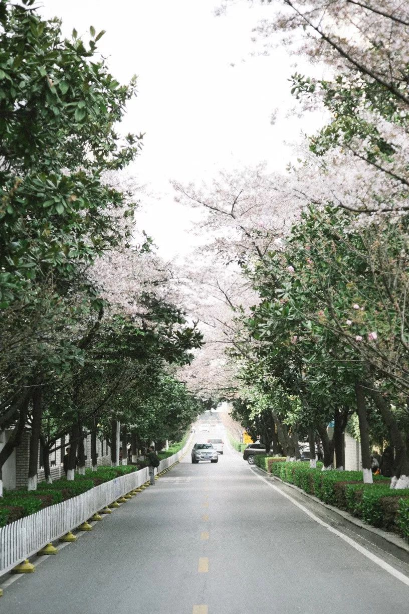 武汉必打卡排行榜,武汉十大打卡地