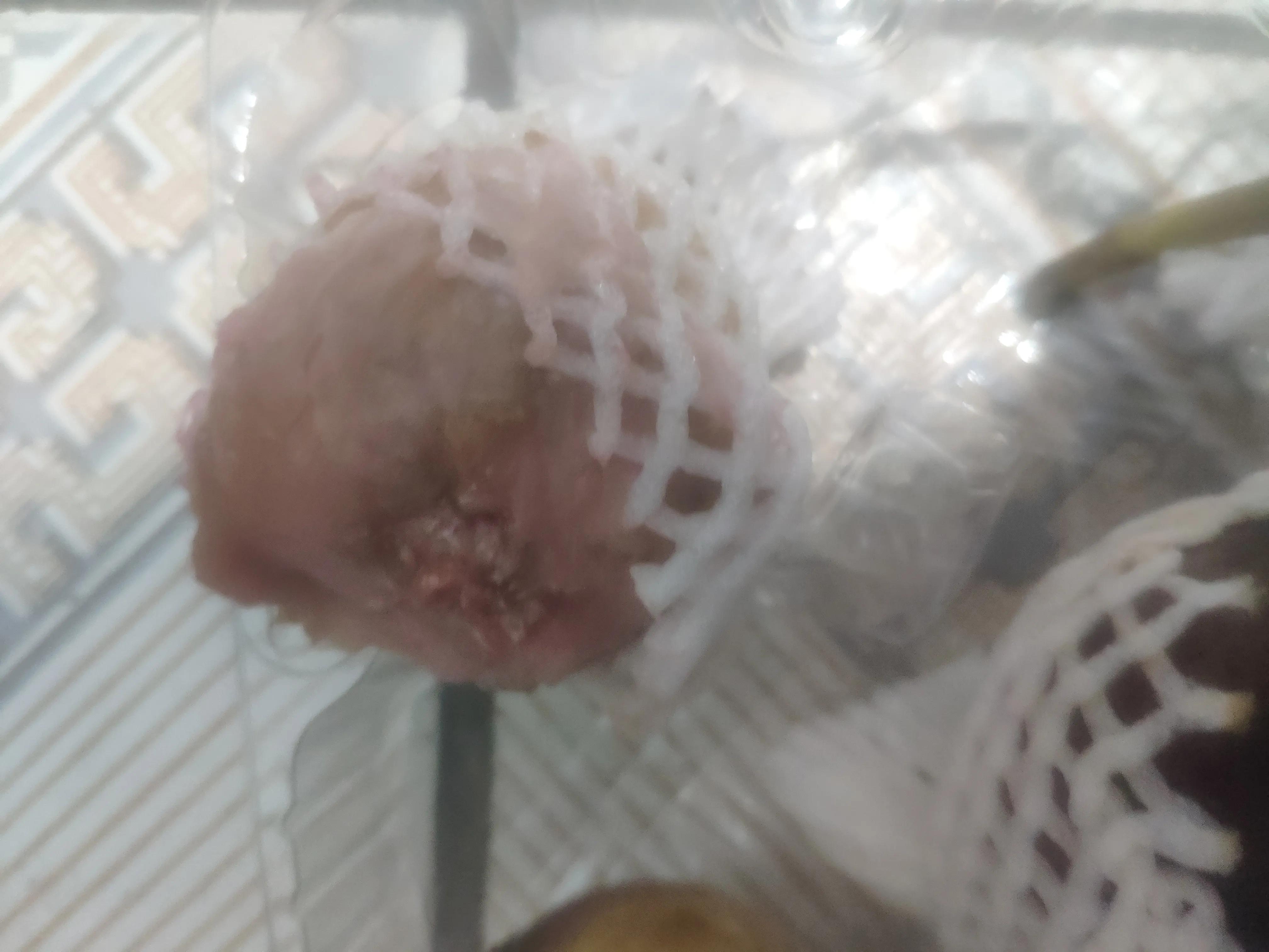 网购不踩坑的水果,网购水果真的有效果吗