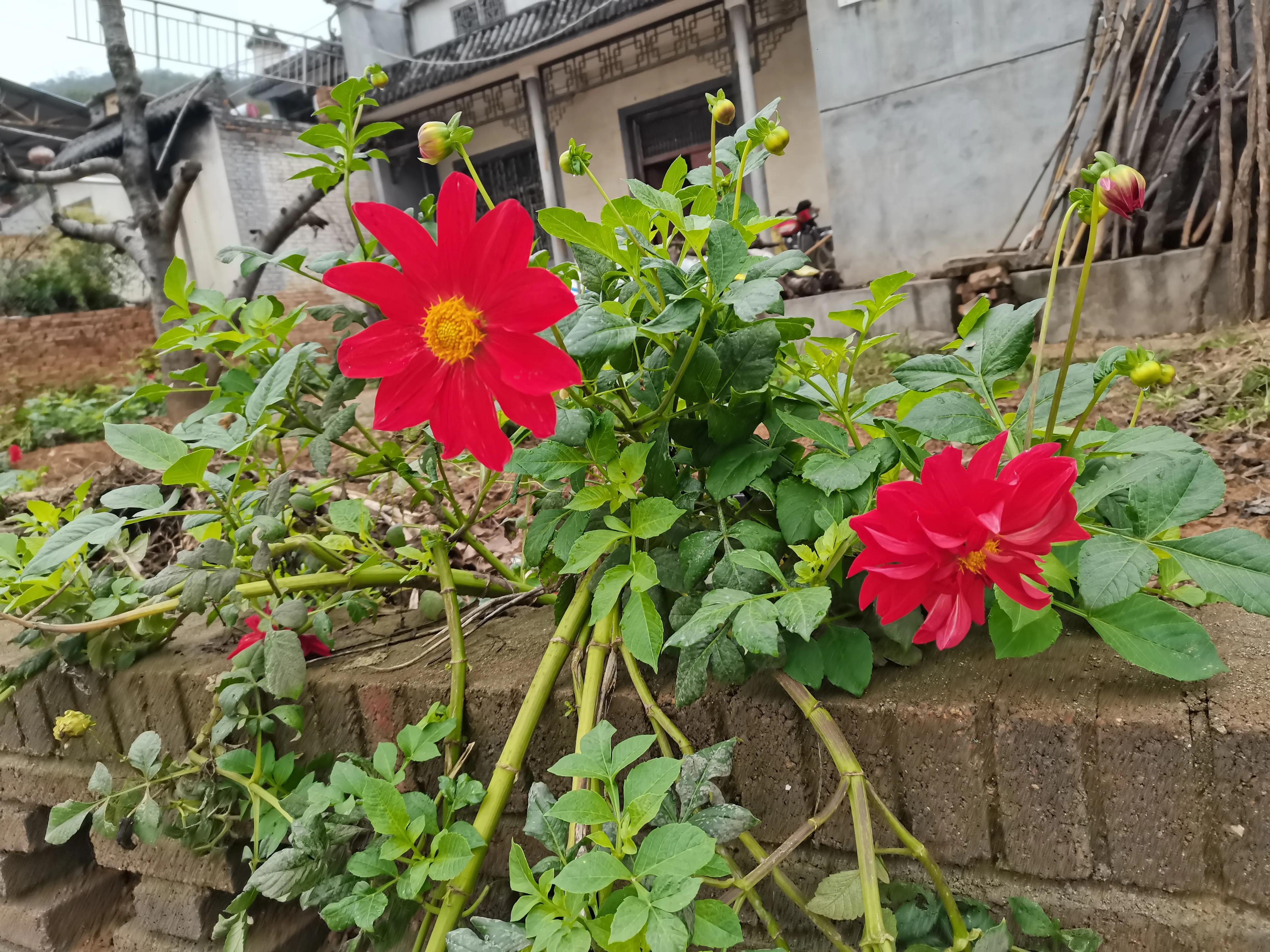 西安洪庆山自驾游路线图,西安洪庆附近旅游景点