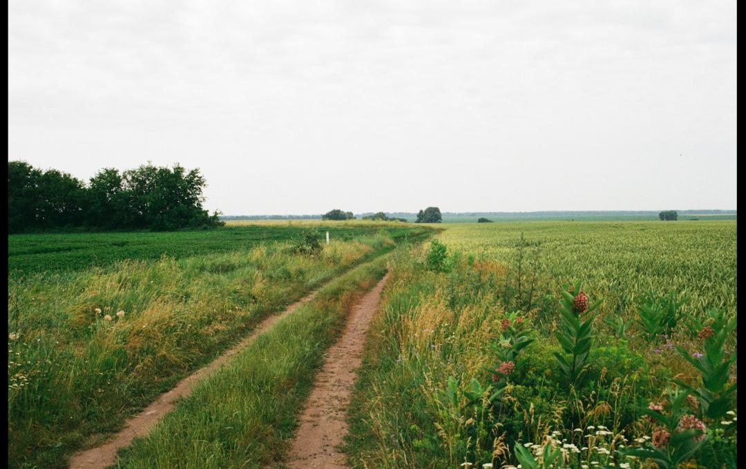 80岁的老奶奶失踪，邻居发现了她养的黑猫，在它的指引下成功营救