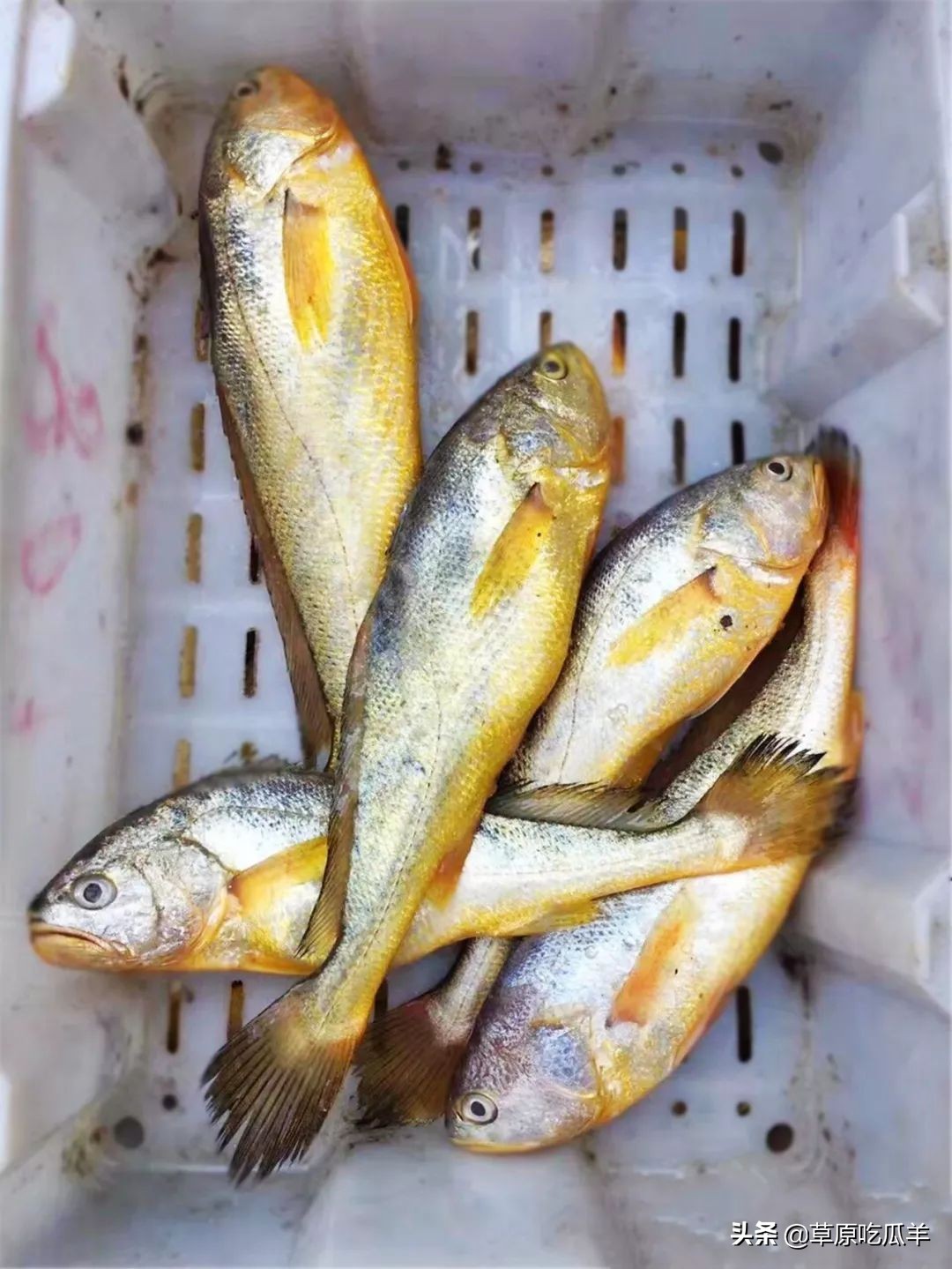 宁波地道的特色海鲜叫什么,宁波小海鲜都有哪些