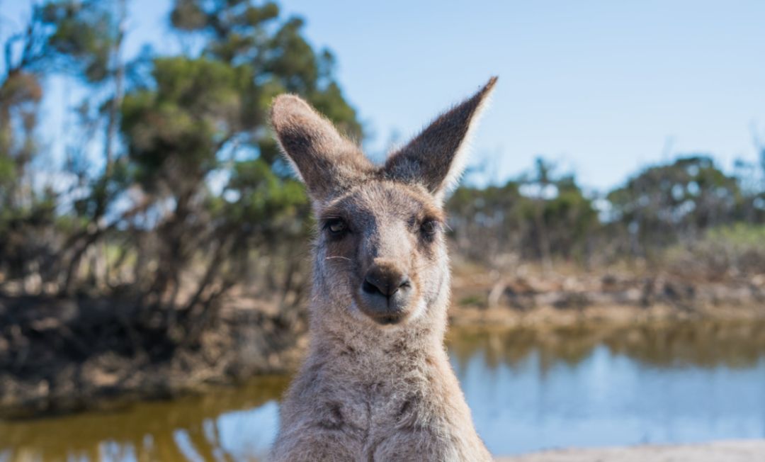 人民币汇率破7进口商品,人民币汇率泰国最低