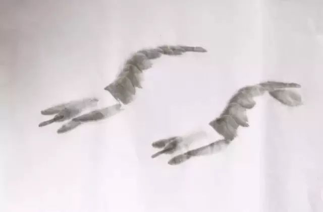 怎样画虾教学视频,铅笔画虾的步骤和方法