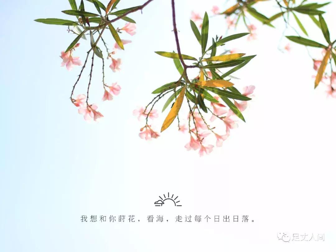 观澜版画村,观澜版画村生态艺术研学基地